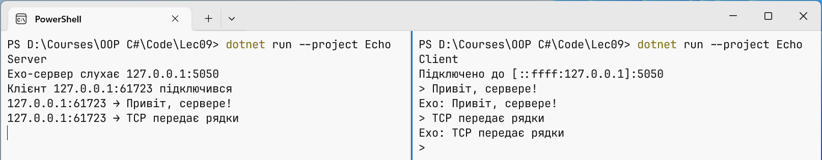 Echo server and client in two Windows Terminal panes