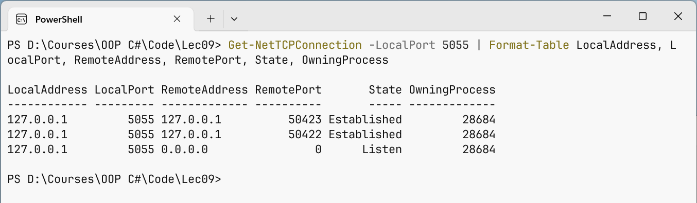 Viewing the chat server's TCP connections