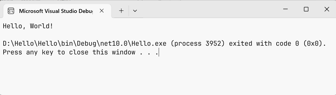 Program output in the console window