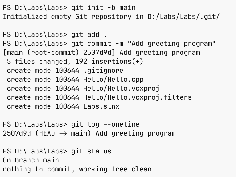 The first commit in the terminal